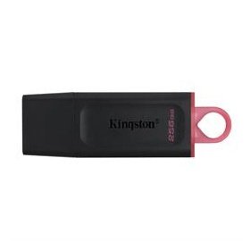 Kingston 256Gb Usb3.2 Gen1 Datatraveler Exodia (Black + Pink)