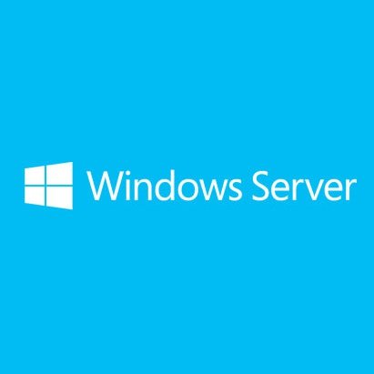 Microsoft Windows Server Cal 2019 1 Clt User Cal