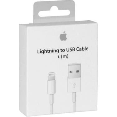 Apple Lightning To Usb Cable (1 M)